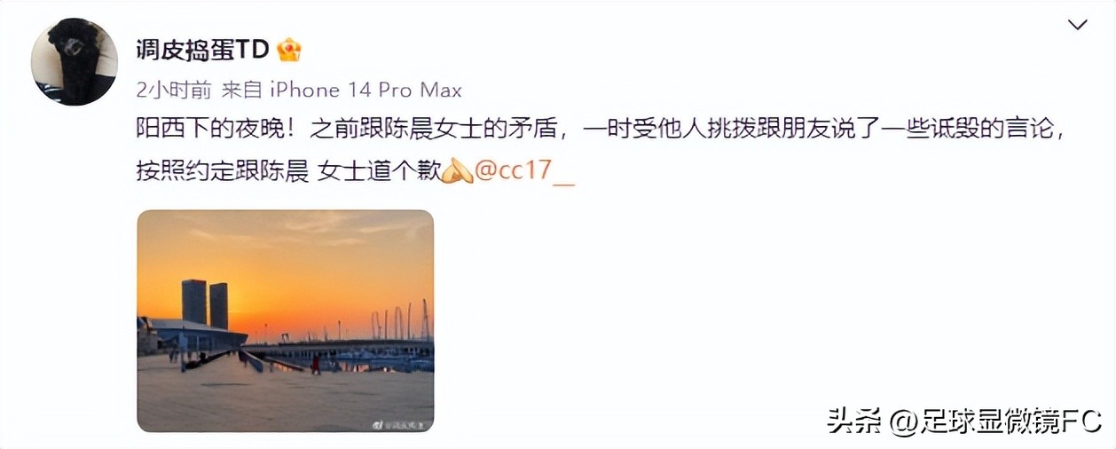 戴琳澄清,戴琳对吴兴涵的表现