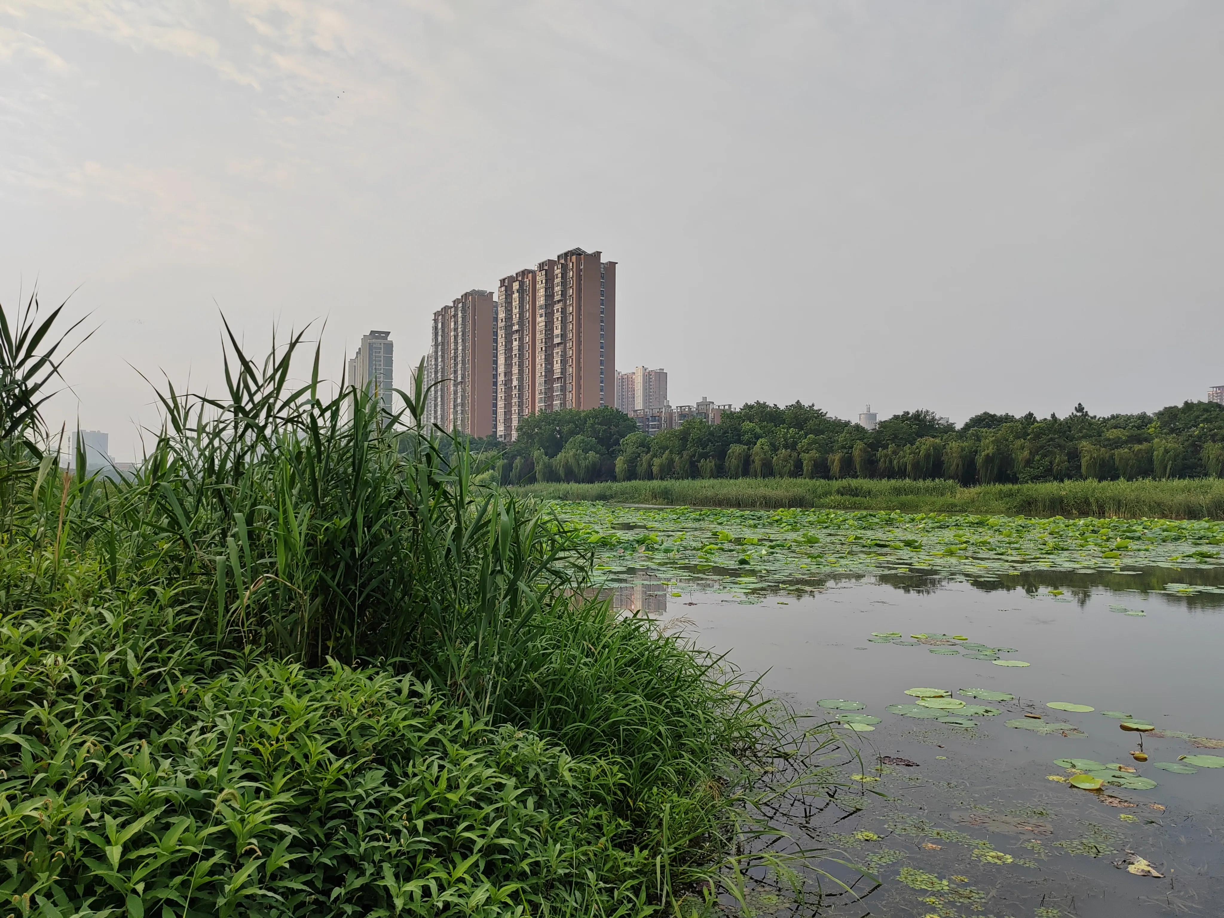 致富三法,致富三招