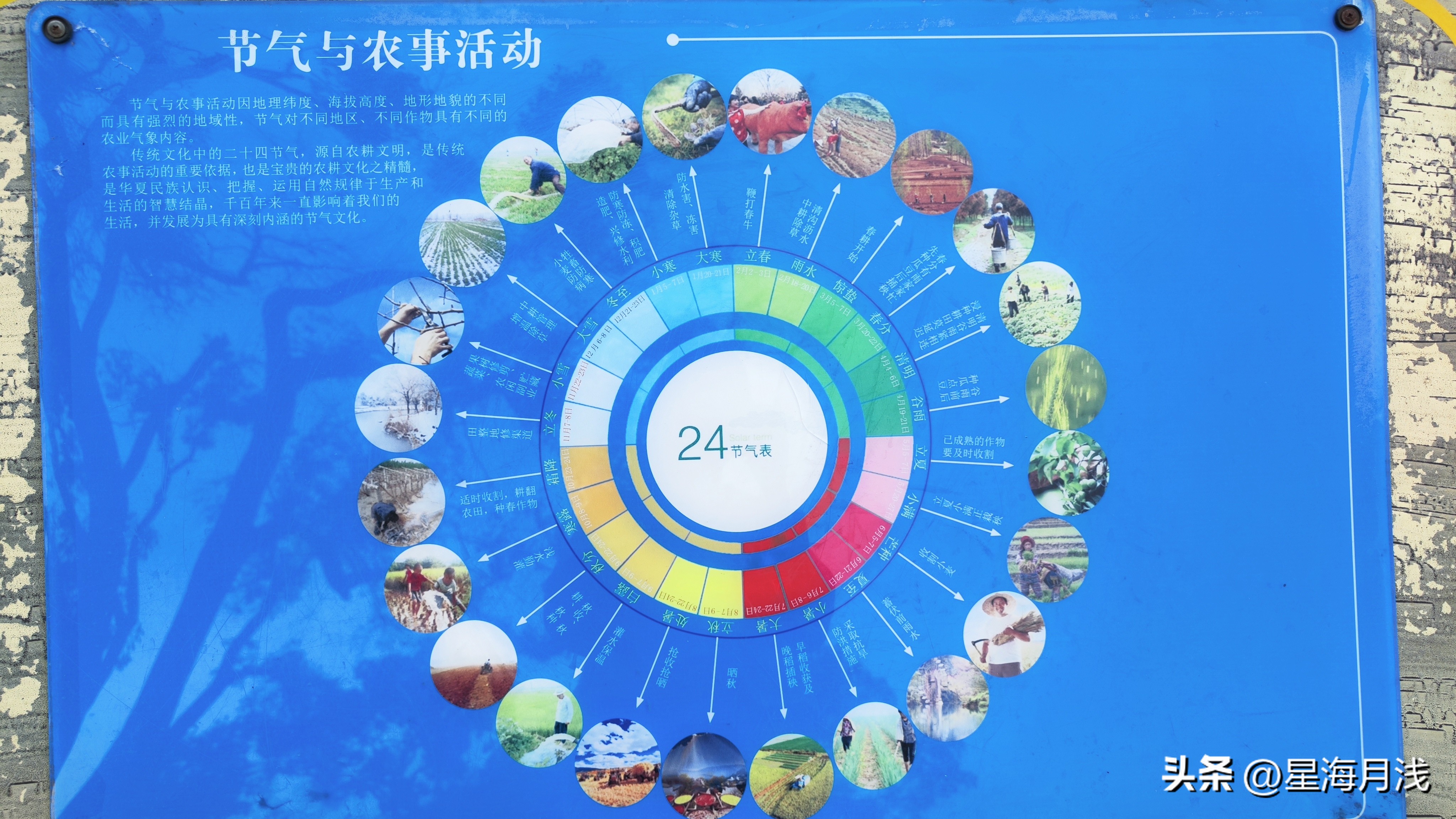 带你玩遍广州所有的儿童公园,广州免费公园遛娃好去处