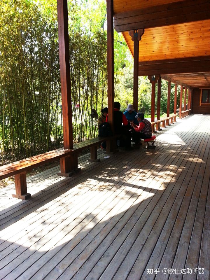 神经性耳鸣戴助听器可以缓解吗,耳鸣操能缓解耳鸣吗