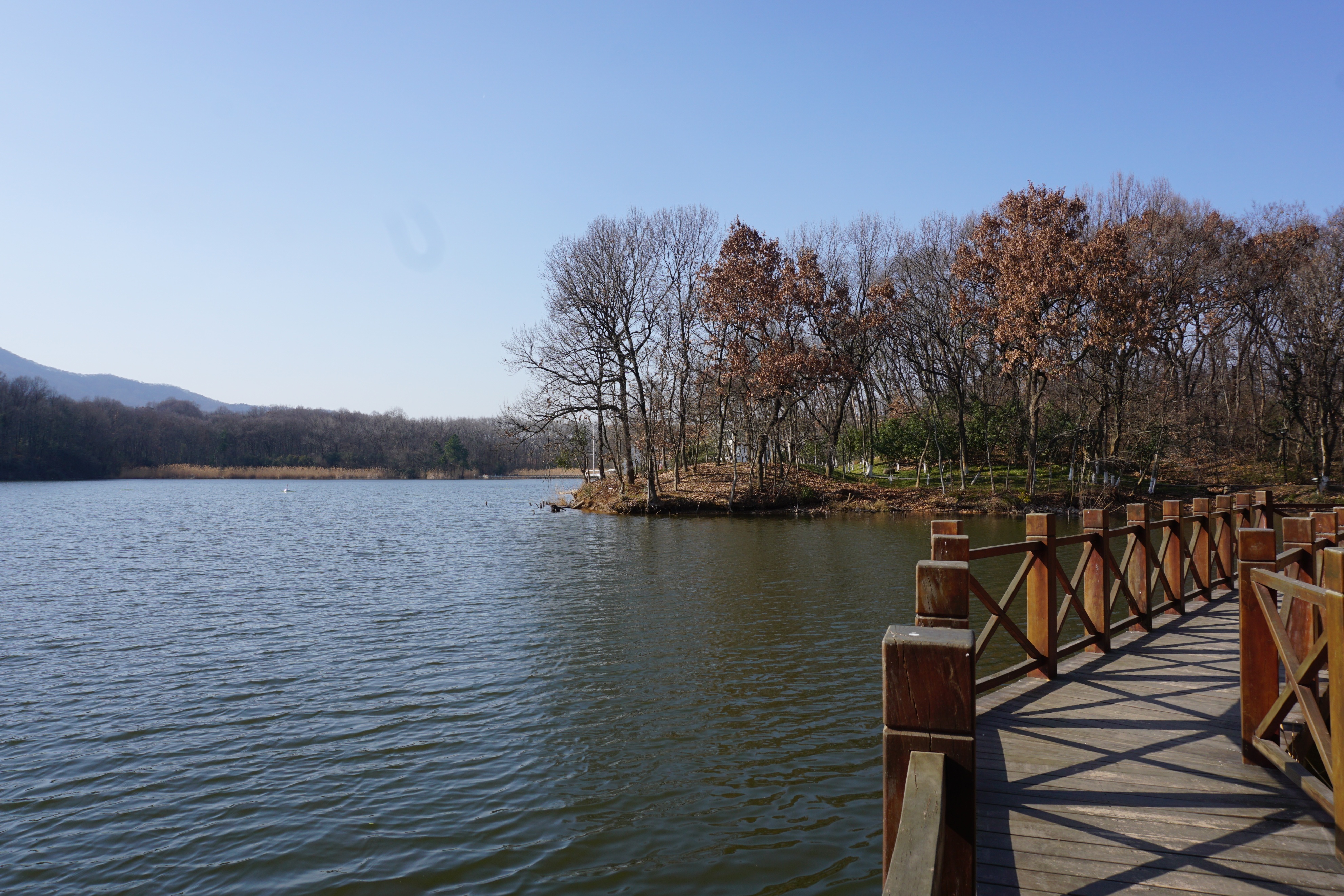 南京人看杭州,南京紫金山庄在哪里