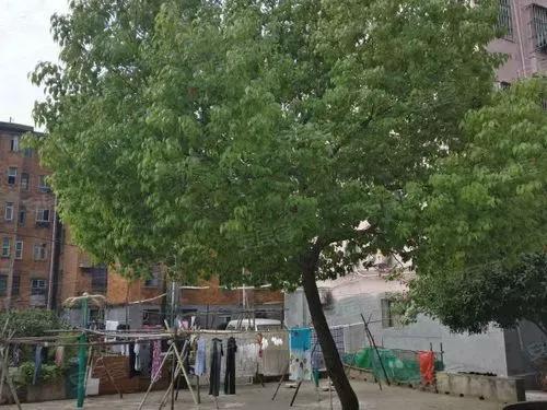 南昌八一配件厂有哪些,南昌锻造配件厂