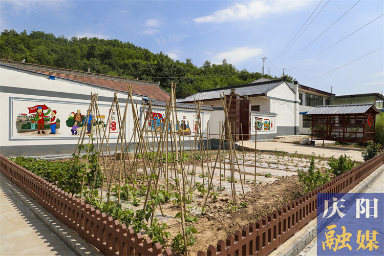 甘肃合水:一屋带“三园”乡村焕新颜