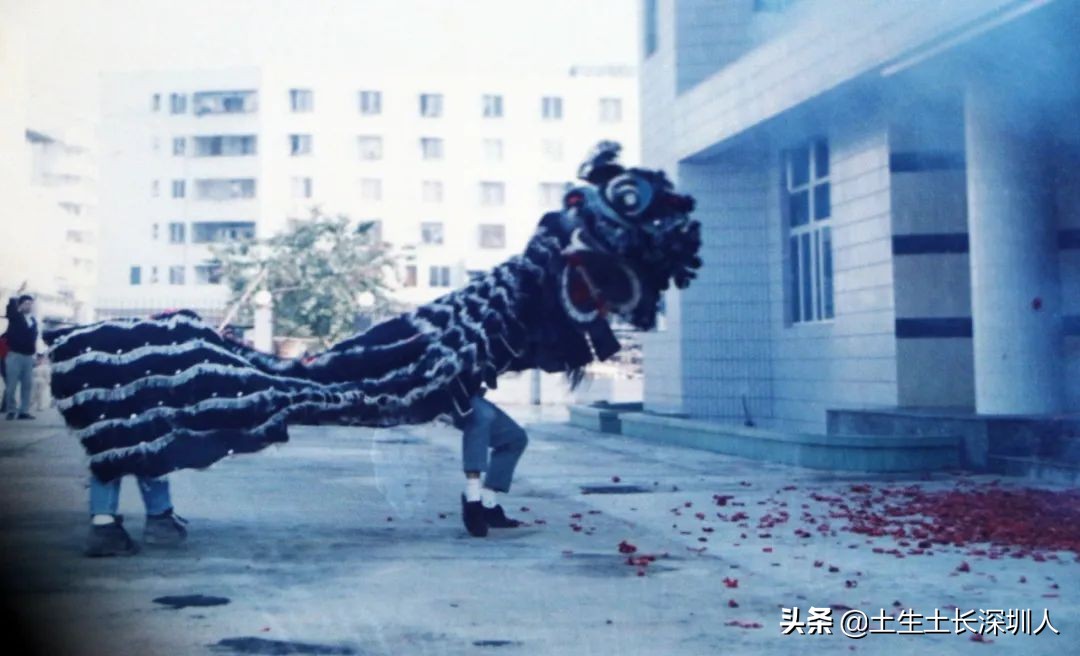 醒狮和瑞狮的区别在哪,醒狮的运动特点