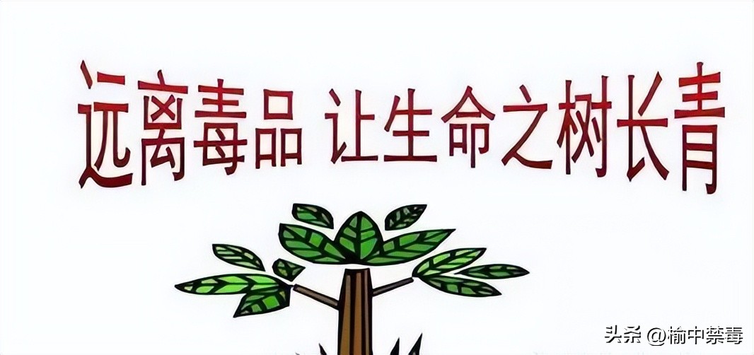 禁毒知识的普及与常识,禁毒知识第一课掌握禁毒法律