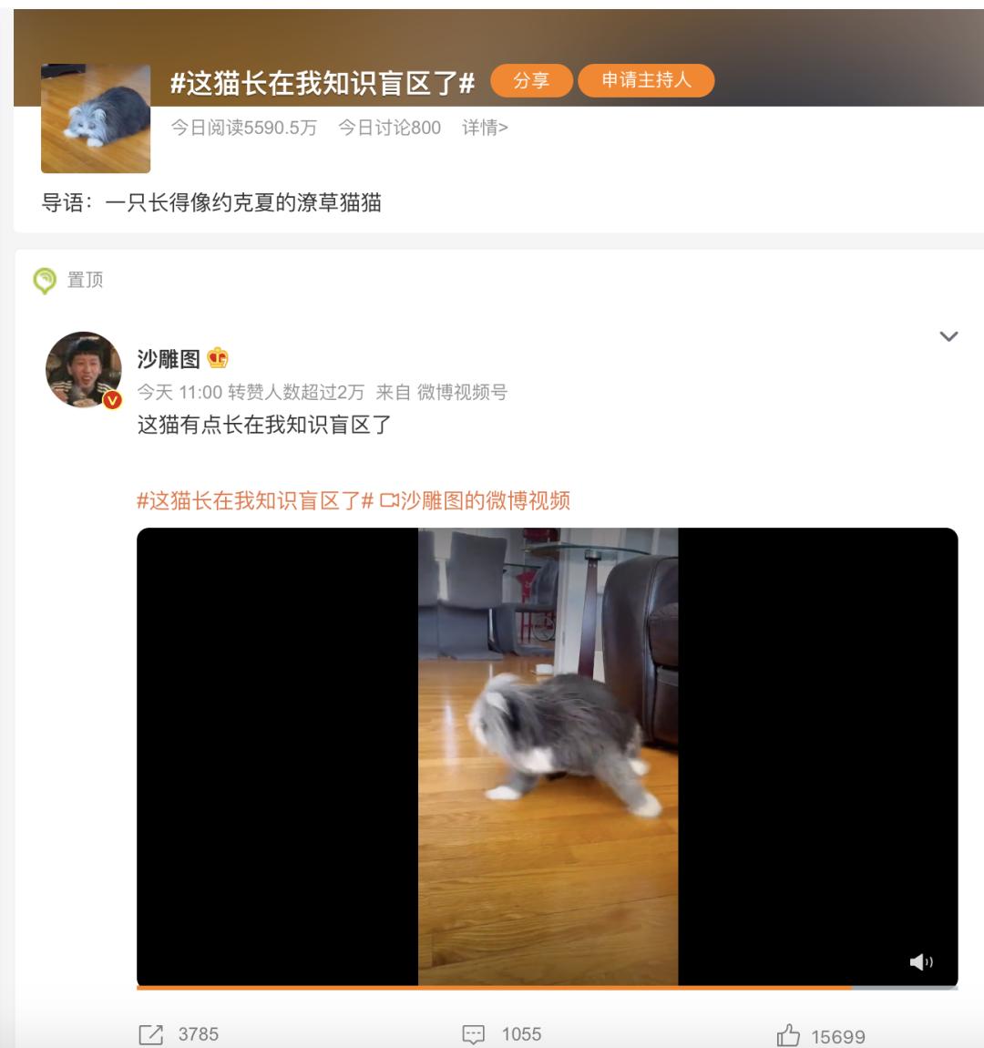 烟火营销洞察04期|一文讲透2022年中国社交媒体平台——微博