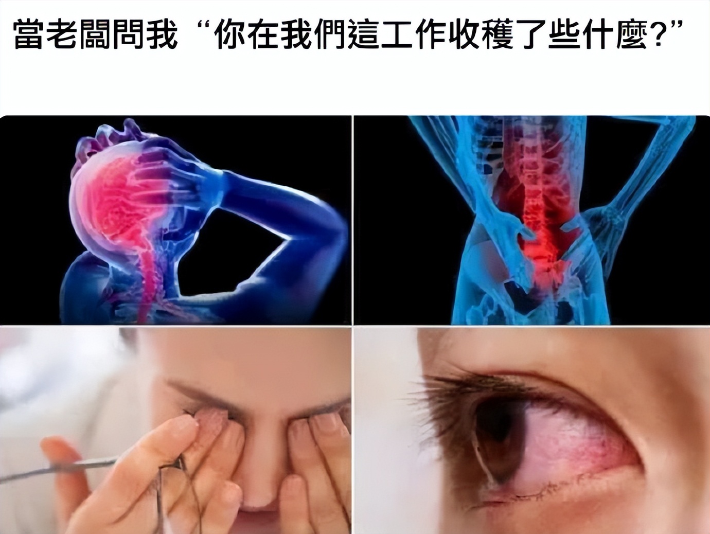 【被窝段子20221225】每个人的花期不同不必焦虑有人比你提前拥有