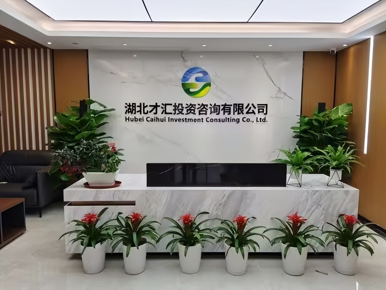 鎵嶆眹鎶曡祫鍜ㄨ,婀栧寳鎵嶆眹鎶曡祫鍜ㄨ鏈夐檺鍏徃瀹樼綉