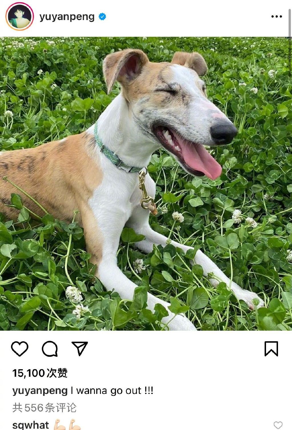 林思意深夜救待产孕妇,snh48小四林思意上综艺