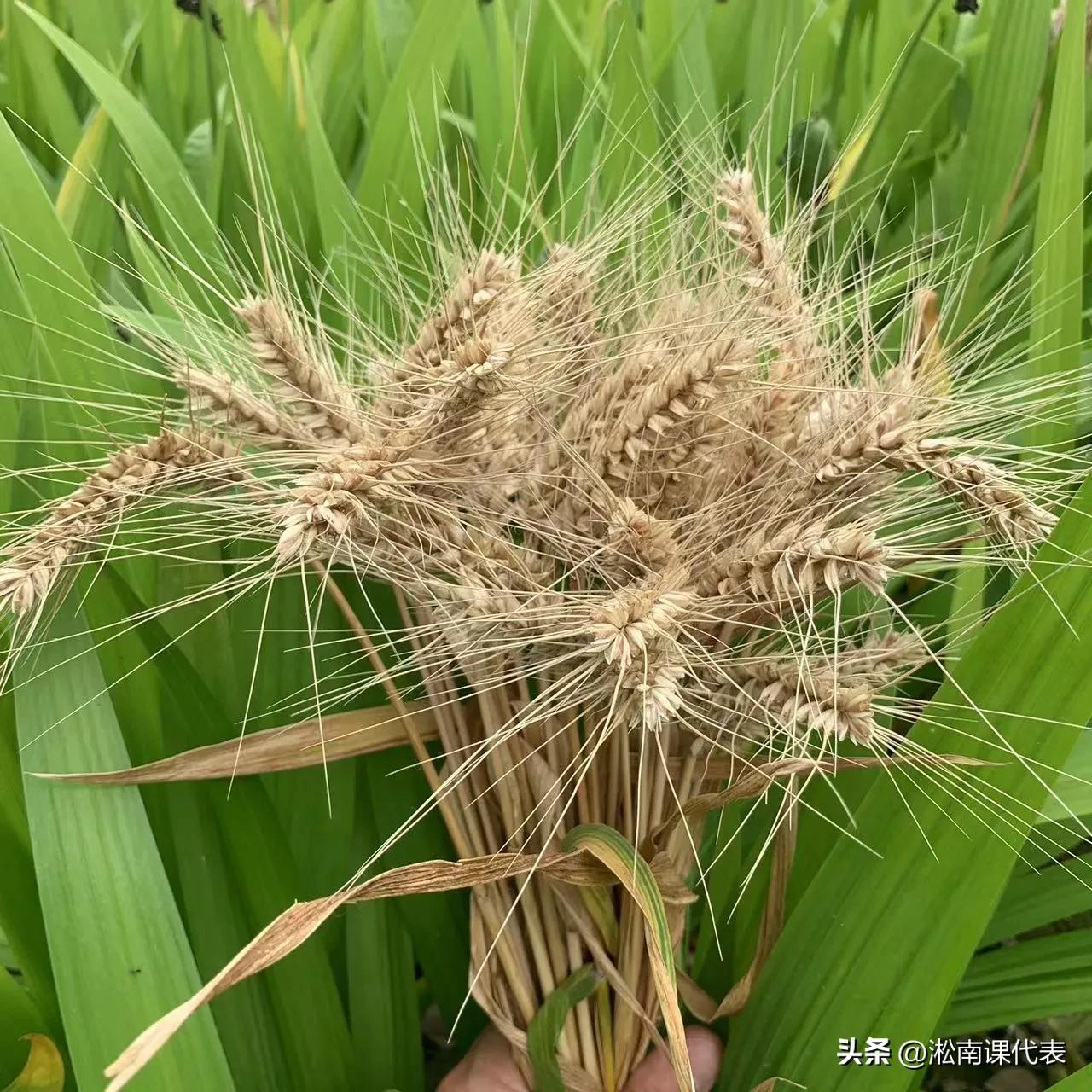 回忆逝去的青春80后,缅怀曾经过去的80后青春