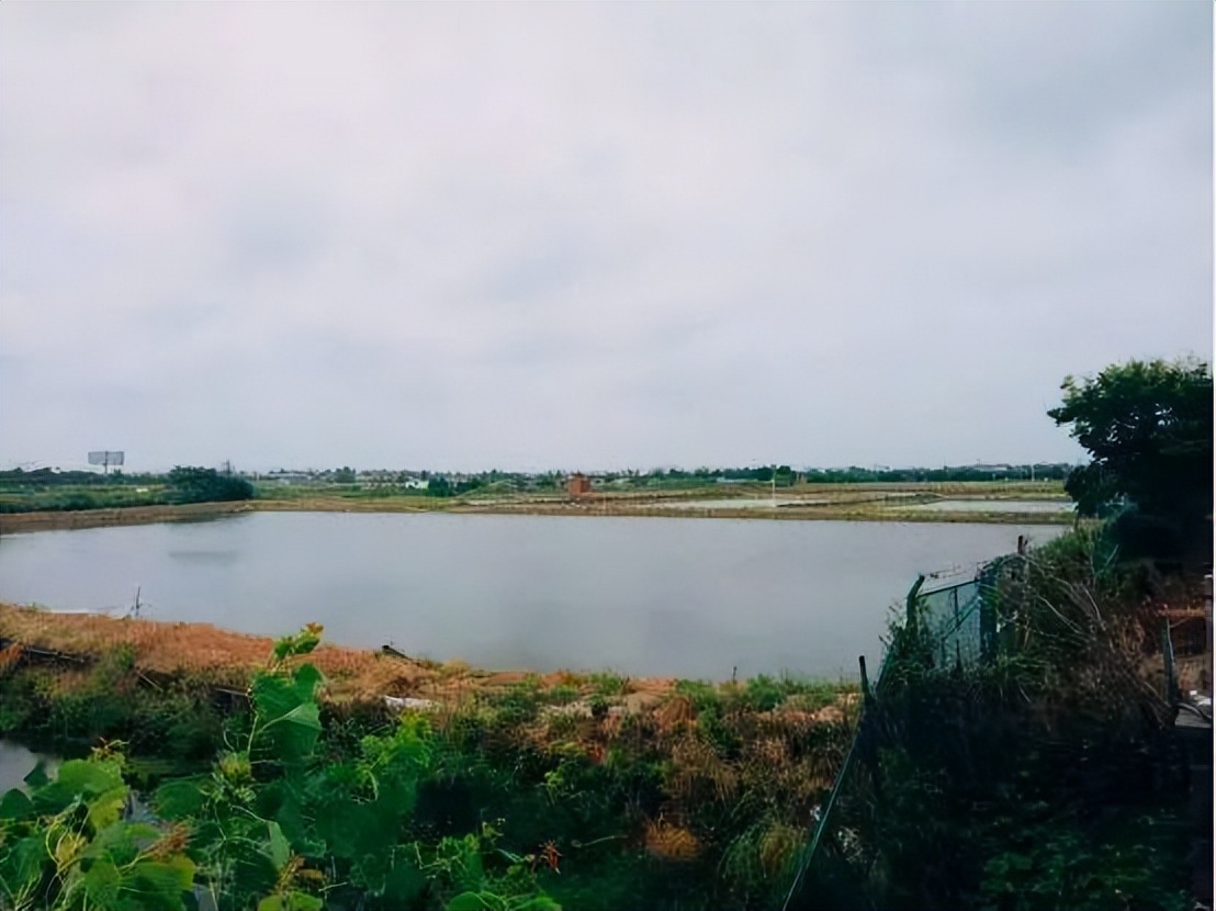 南京农业产业园招商,南京2023年招商引资项目排名