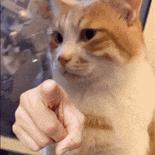 四川考生报外省高校怎样查录取,四川考生各高校录取分数线