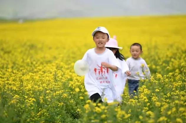 青海为啥成为核基地,青海怎么出圈
