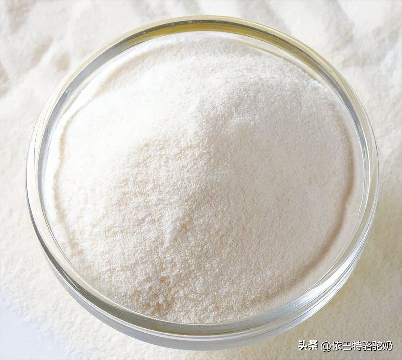 依巴特和骆驼奶粉,依巴特驼奶粉配料表