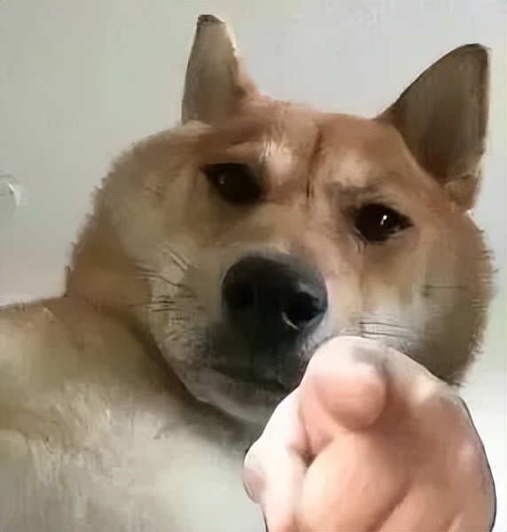 华为鸿蒙4.0系统有多流畅,华为鸿蒙4.0有多流畅