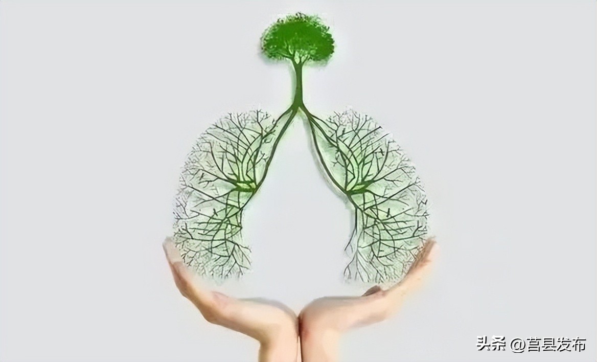 世界防治结核病日几月几号,世界防治结核病日宣传知识要点