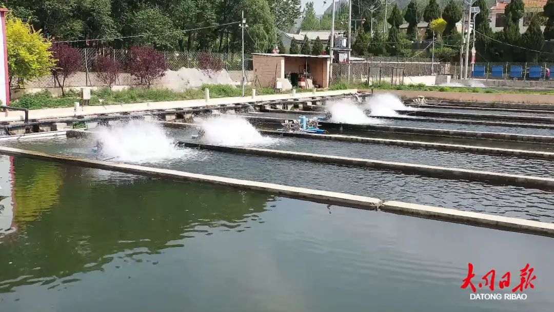 借助资源优势，灵丘、天镇依山傍水发“渔”财