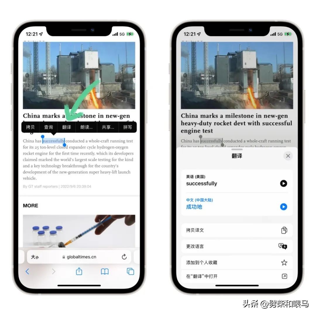 safari网页翻译免费,safari网页自动翻译功能