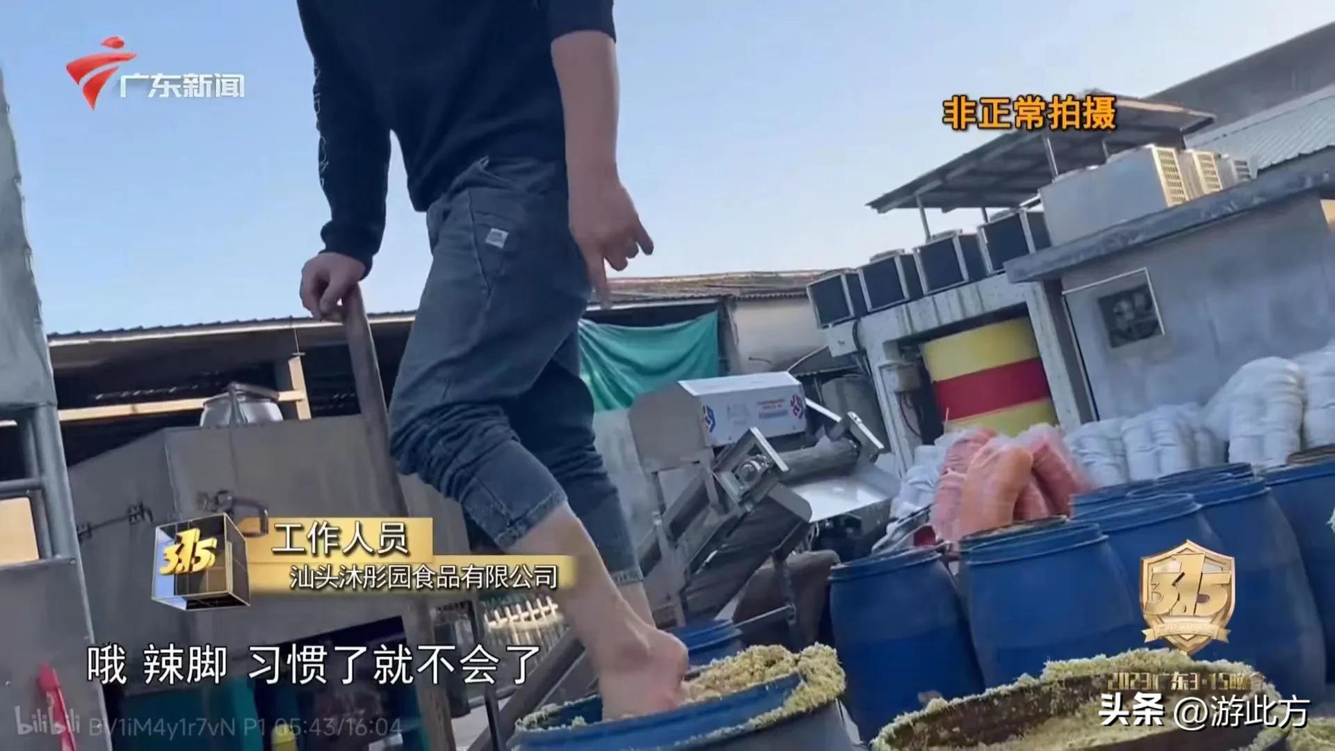 315黑心橄榄菜曝光视频,央视315曝光不合格橄榄菜