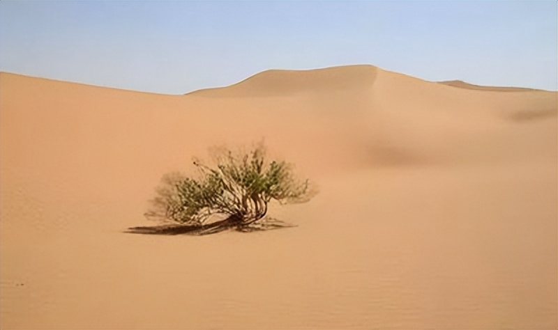 市场营销手段13种手段,市场营销及成功案例