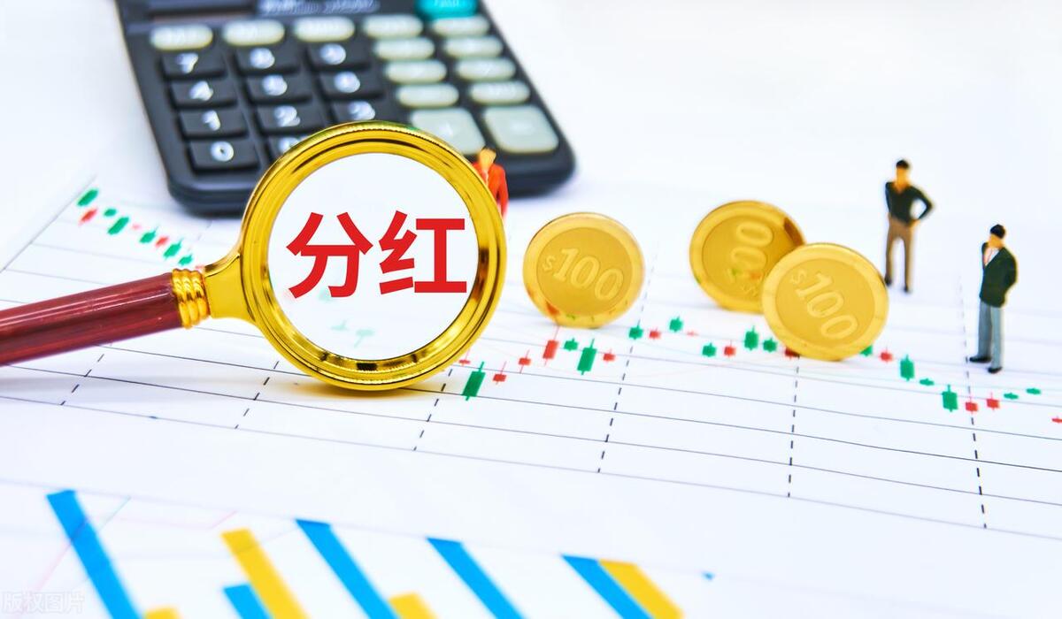 股票的股息和分红有什么区别,股票的股息从哪里看