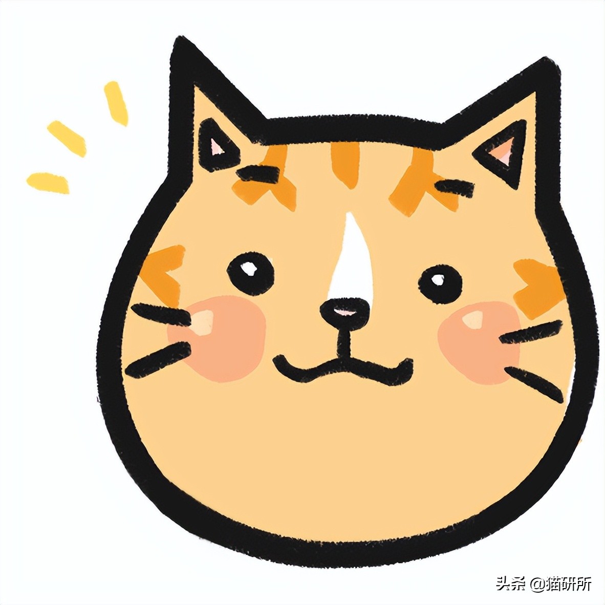 进口罐头猫粮怎么选,猫粮罐头怎么挑选