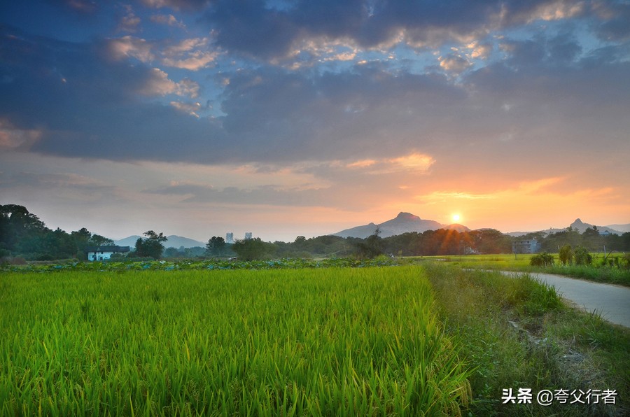 乡村纪实：带给村民无限快乐的傻小子，离开人世好多年了