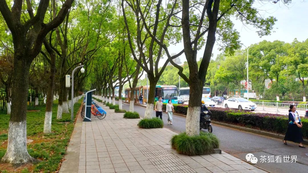 中美两国的生活差别,中美差别最大的地方