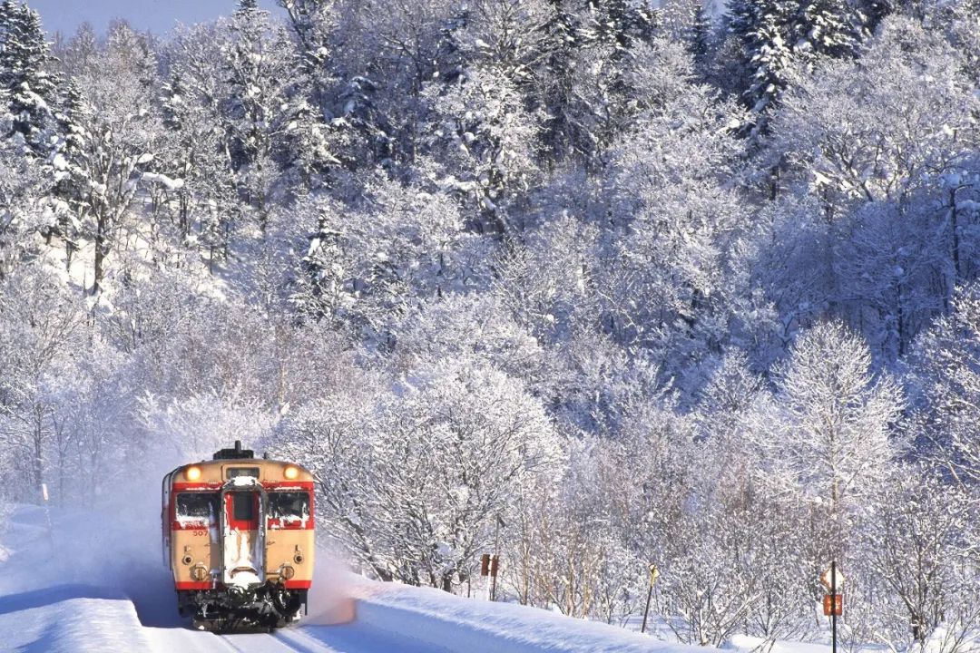 去哪看极光最好的地方,去哪里看极光最好的地方