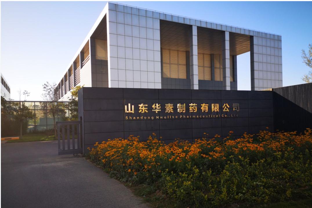 山东华素药业高新技术,山东中关村医药科技发展有限公司