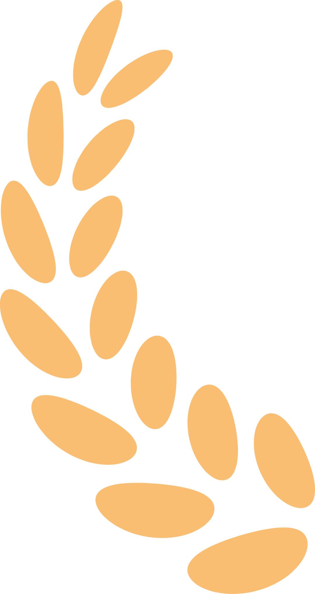 沈阳城市学院心理学学费,沈阳城市学院应用心理专业