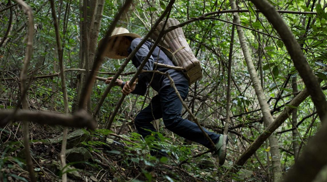 四川老汉挖出250斤人形树根,四川男子挖到人形树根