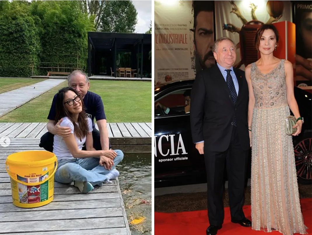 杨紫琼高定礼服闪耀戛纳红毯,杨紫琼携手老公亮相奥斯卡红毯