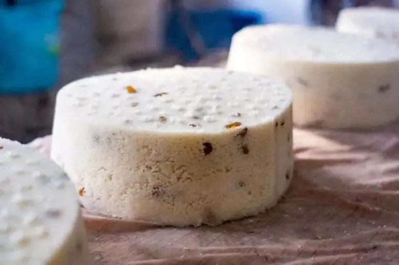 上海郊游一览表,上海郊游