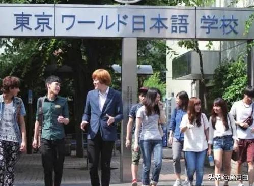 河南信阳小伙娶日本市长,河南农村小伙娶回日本市长