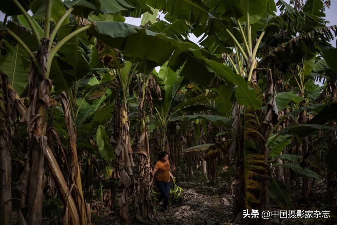 2023年荷赛摄影奖获奖作品,荷赛奖中国获奖者