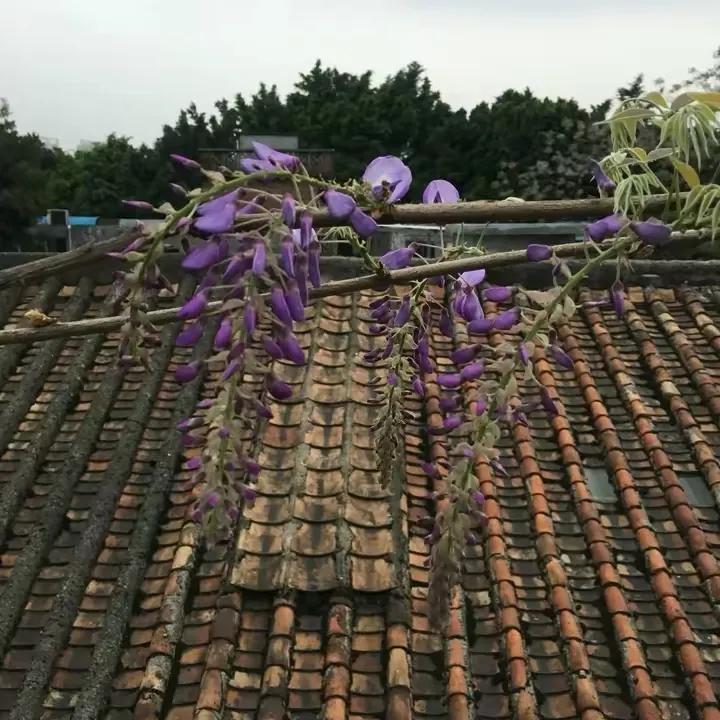 如何花最少的钱改造出租屋,怎样花最少的钱布置出租房