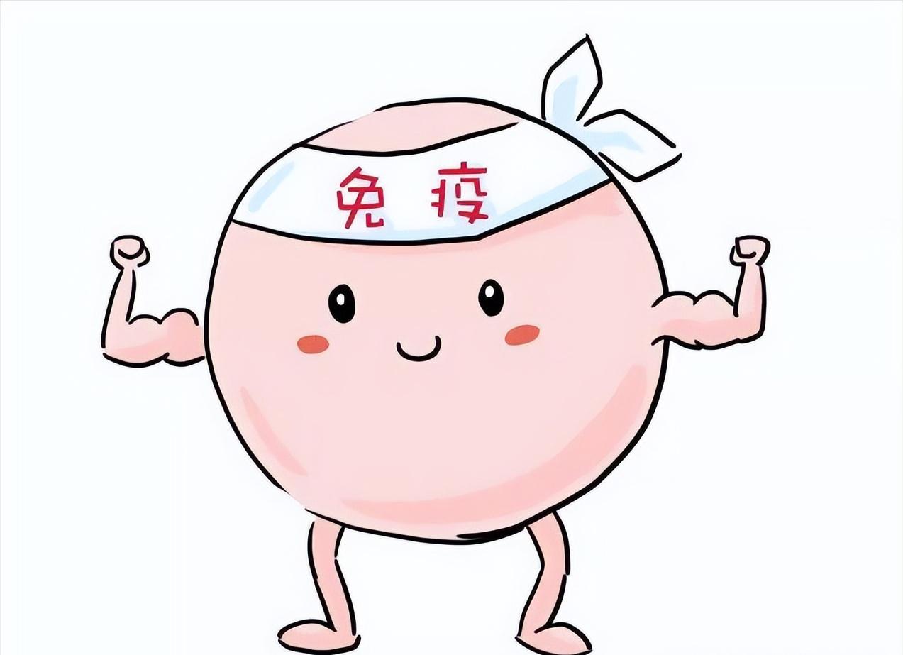 那些没有成功“受精”的精子，最后都去哪了？