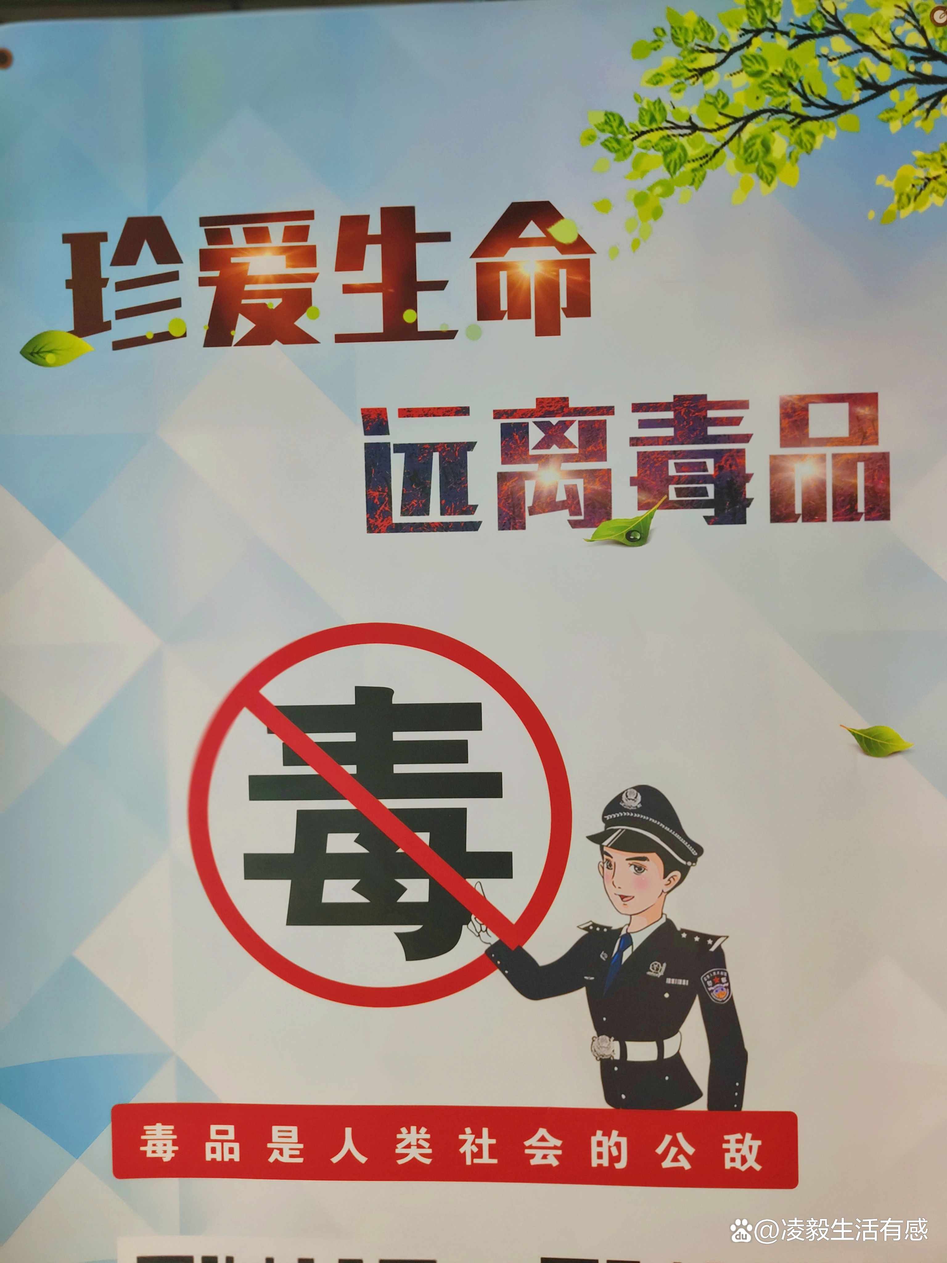 国际禁毒日为什么在6月26日,6月26日禁毒日学校活动