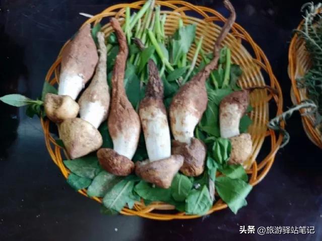 苍山景区游玩攻略,大理苍山旅游攻略小说