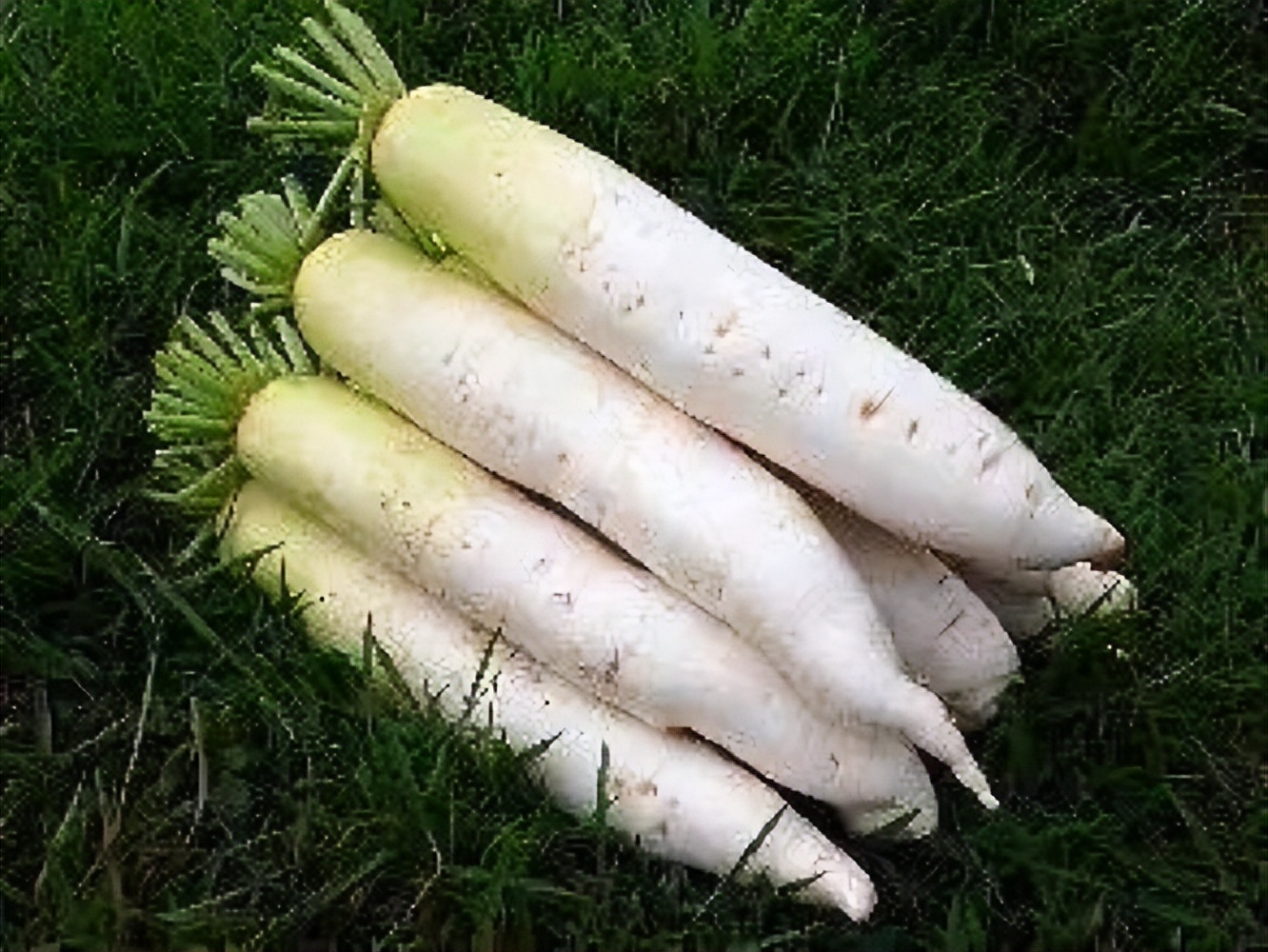 转告父母这5类病属于老年病,转告父母服用他汀药少碰这5物