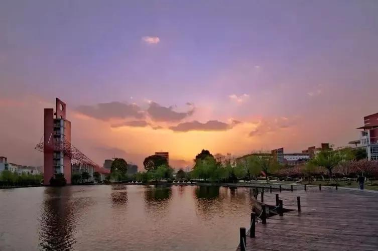 2023广东学考录取分数线由低到高,广东2023各大学投档线及位次