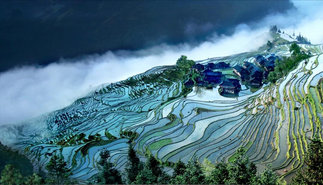 贵州黔味美食大全,去贵州必点的8道黔菜