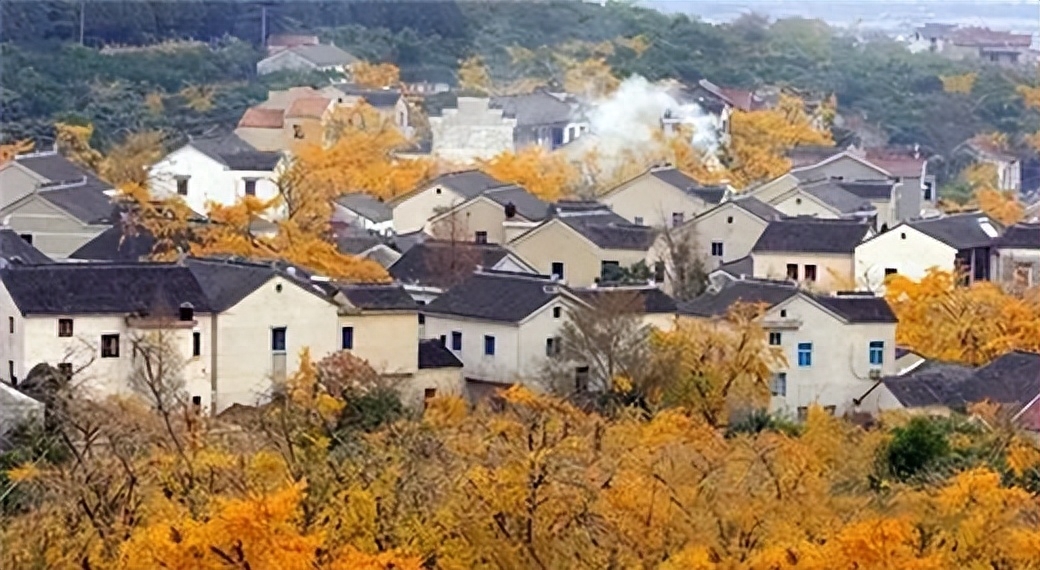 苏州秋天的美,一起感受秋天的苏州