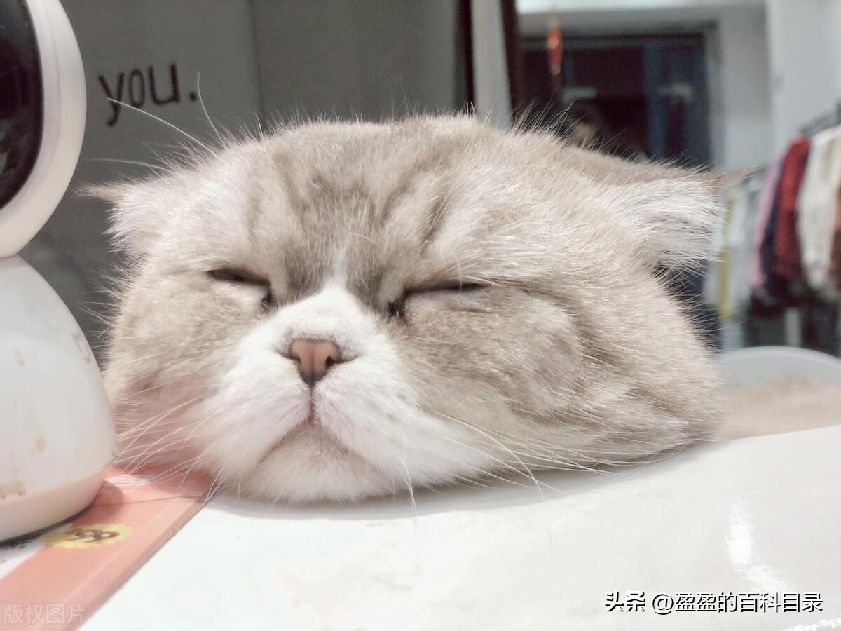 夏天犯困怎么提精神,夏天犯困一招解决