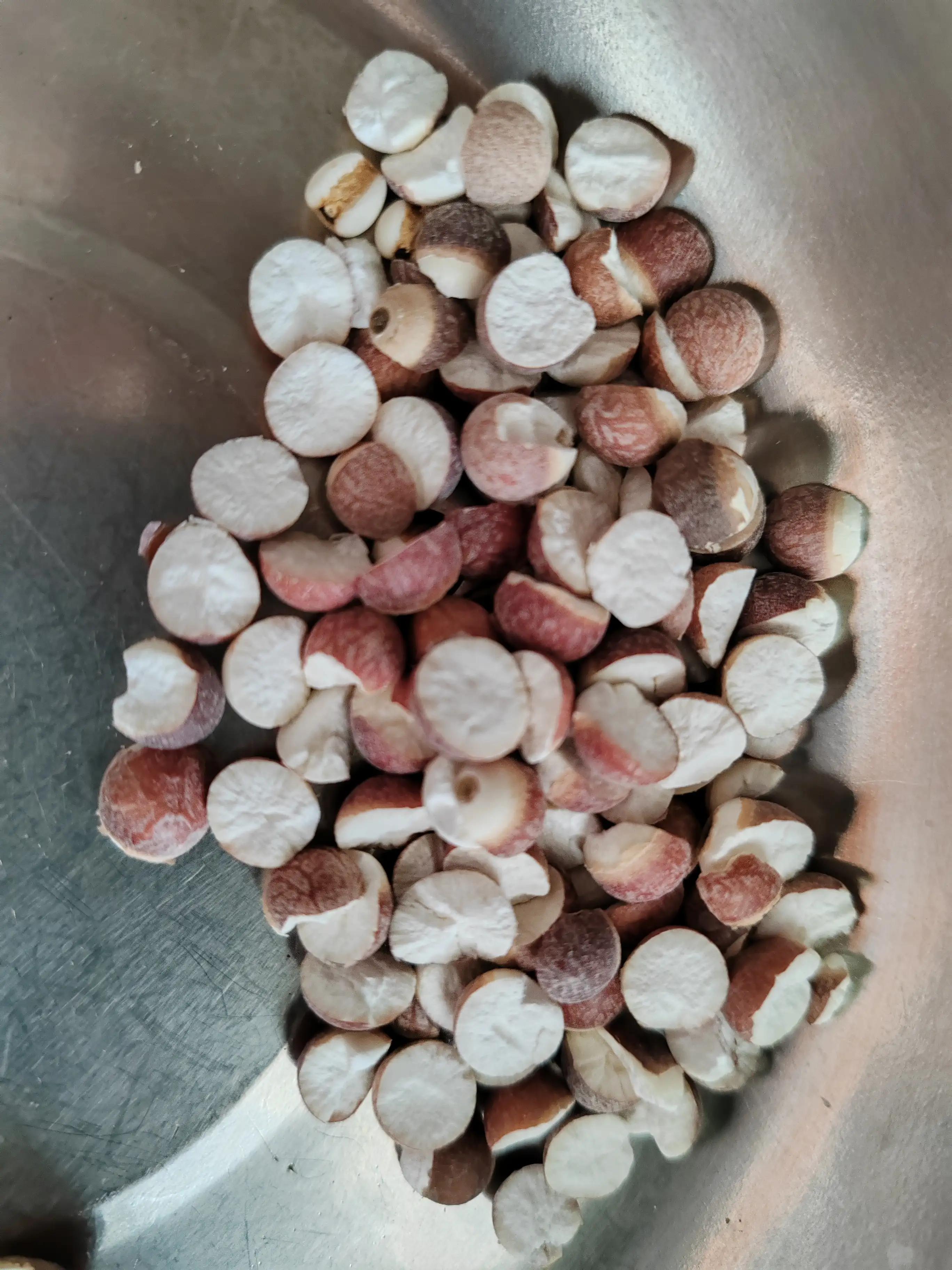 菊甘茶叶,火麻仁荷叶茯苓茶