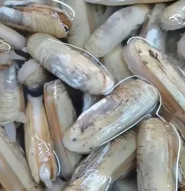 丹东东港旅游攻略自由行,丹东避暑游玩的地方推荐