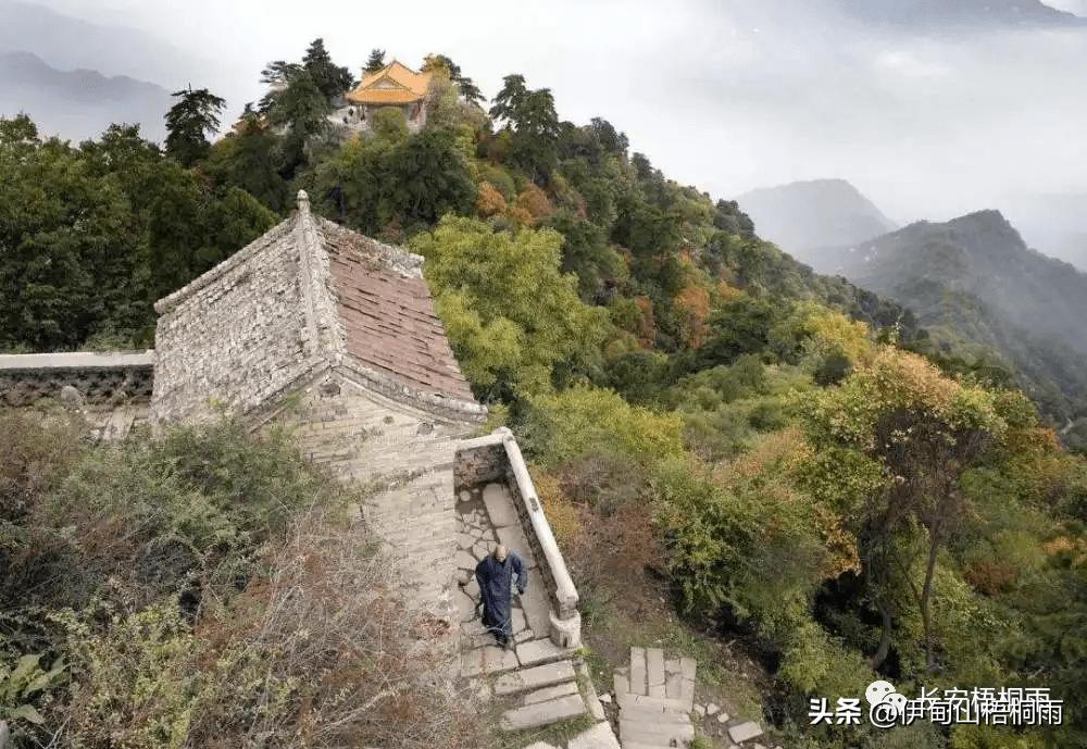简单生活日记:《借山而居》读书笔记(一)