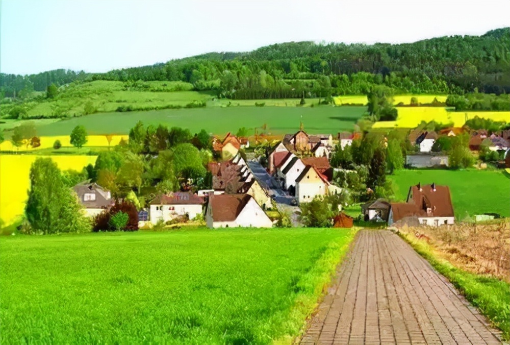 如何推广农产品品牌策略,高端农产品品牌推广方案