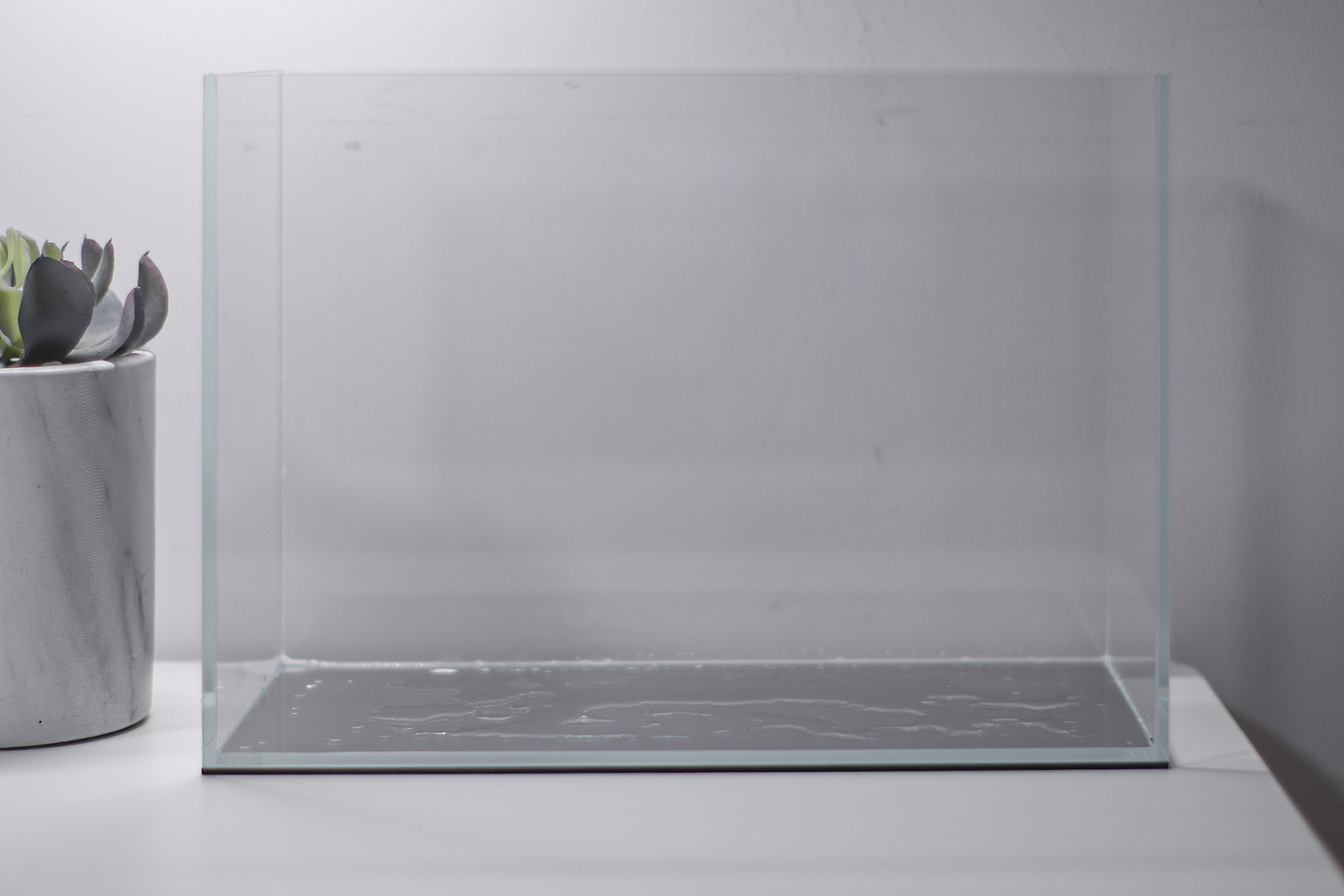 挑战不可能户外,不打氧不过滤不给碳的生态缸